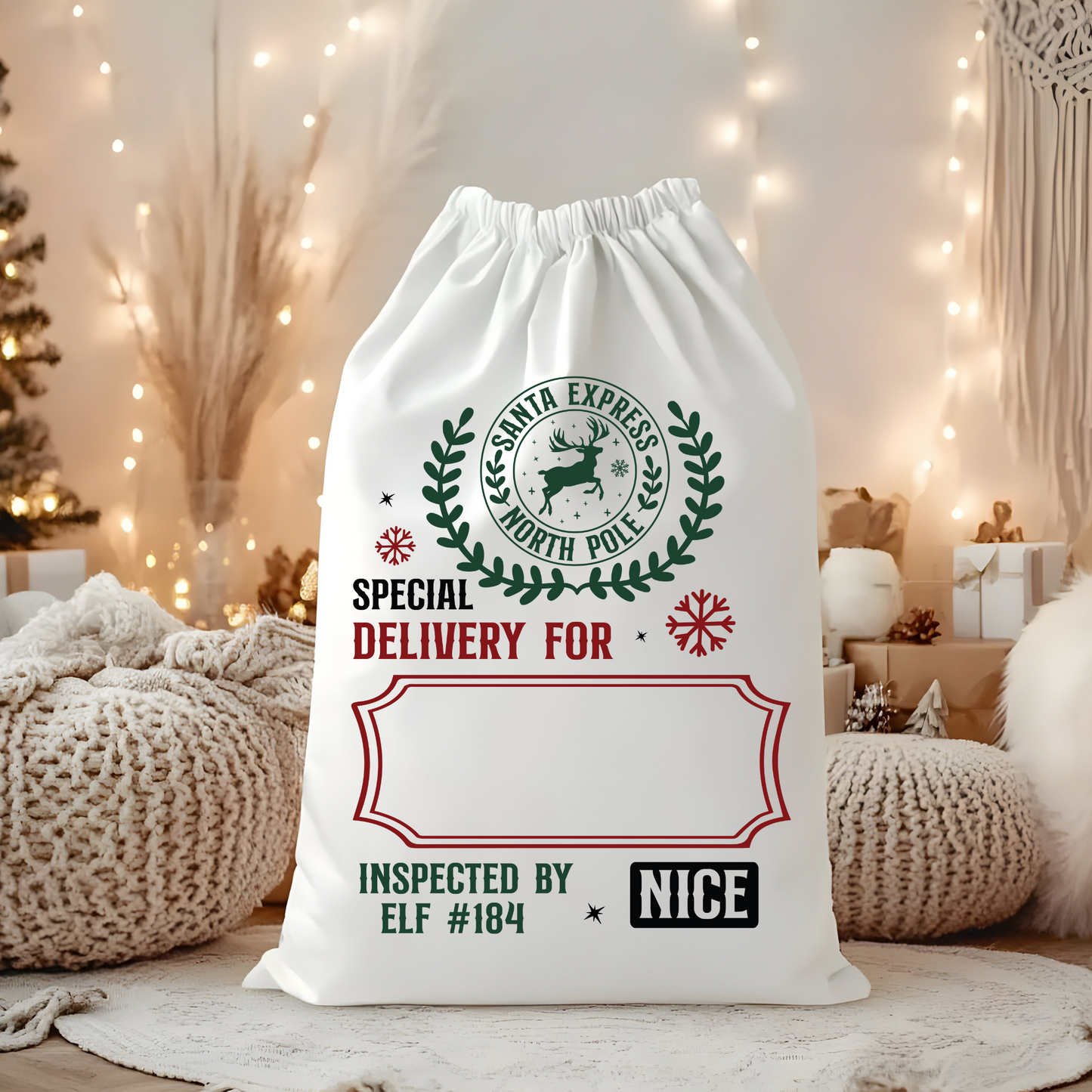 Special Delivery Santa Sack (Personalized)