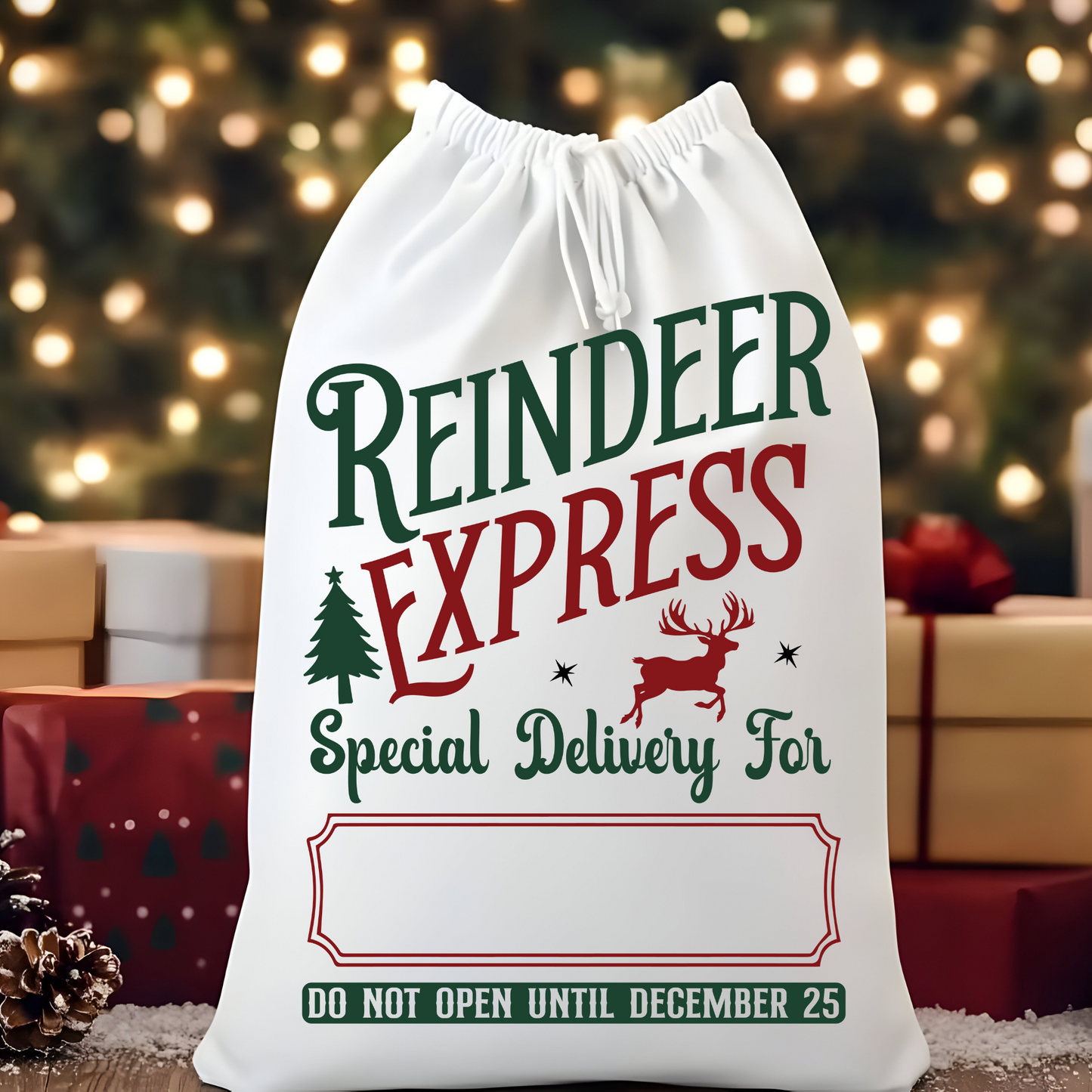 Reindeer Express Santa Sack (Personalized)