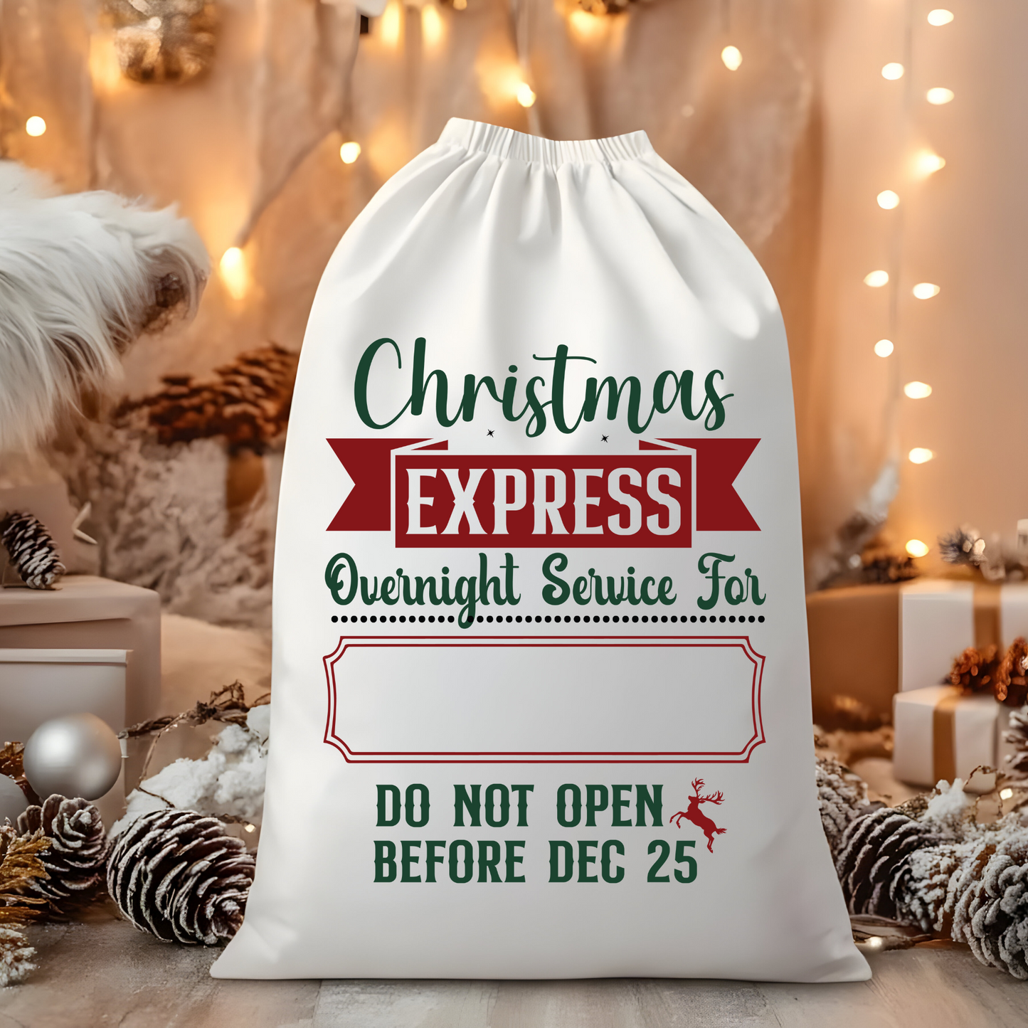 Christmas Express Santa Sack (Personalized)